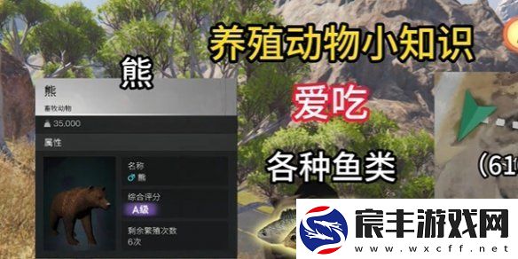 七日世界养殖什么动物