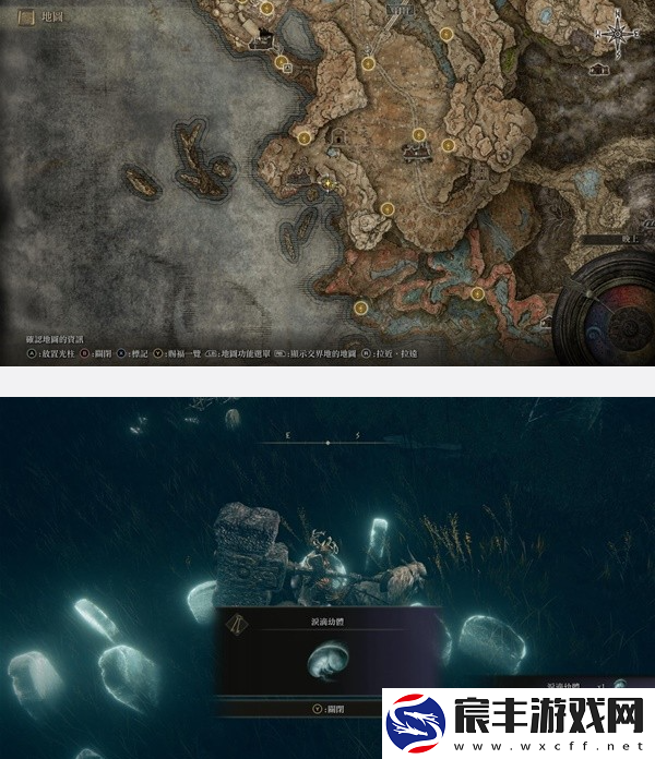 艾尔登法环黄金树之影DLC幼体泪滴收集位置