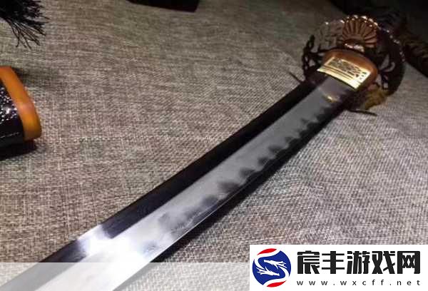 刀剑竞技场震撼登场-冷兵器格斗的纯粹盛宴！