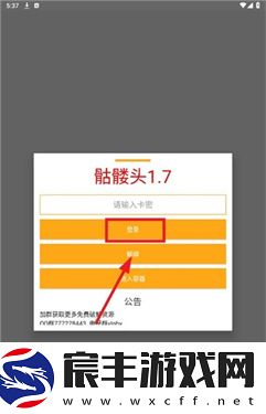 骷髅头直装