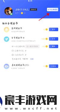 光速虚拟机高级会员版