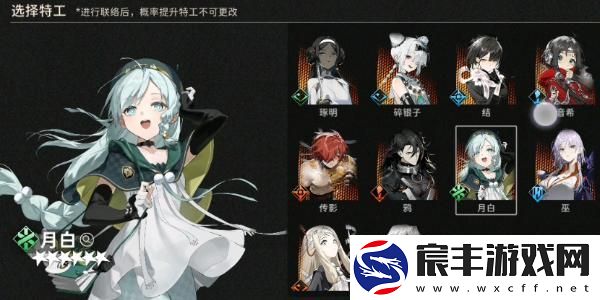 如何挑选新月同行传影卡带