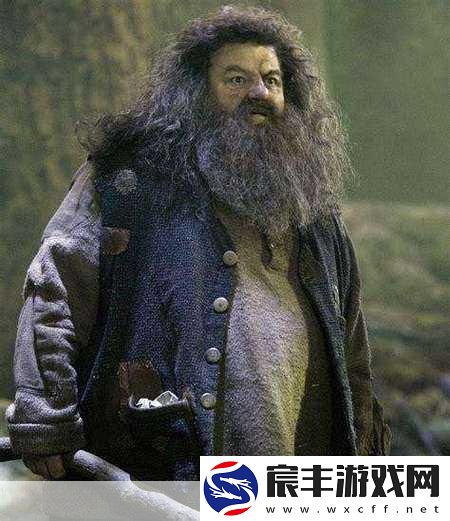 探索哈利波特世界-海格好友与寻宝之旅