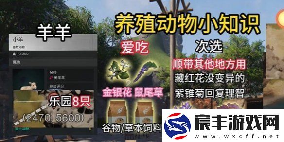 七日世界养殖什么动物