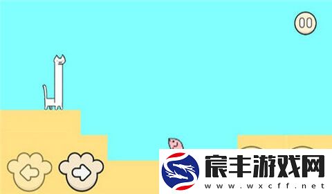 我家猫有残疾