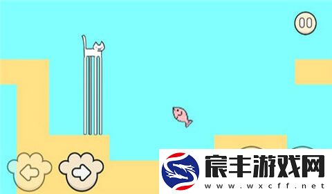 我家猫有残疾