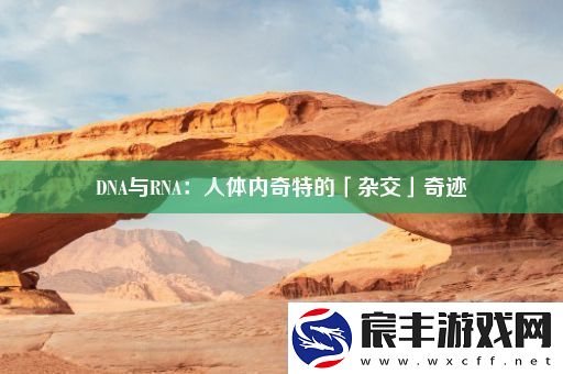 DNA与RNA：人体内奇特的「杂交」奇迹