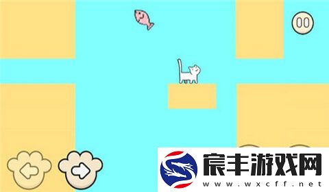 我家猫有残疾