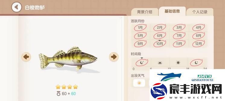 心动小镇手游白梭吻鲈钓鱼时间地点在哪
