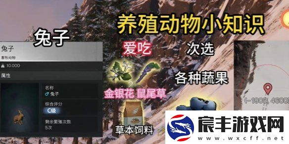 七日世界养殖什么动物