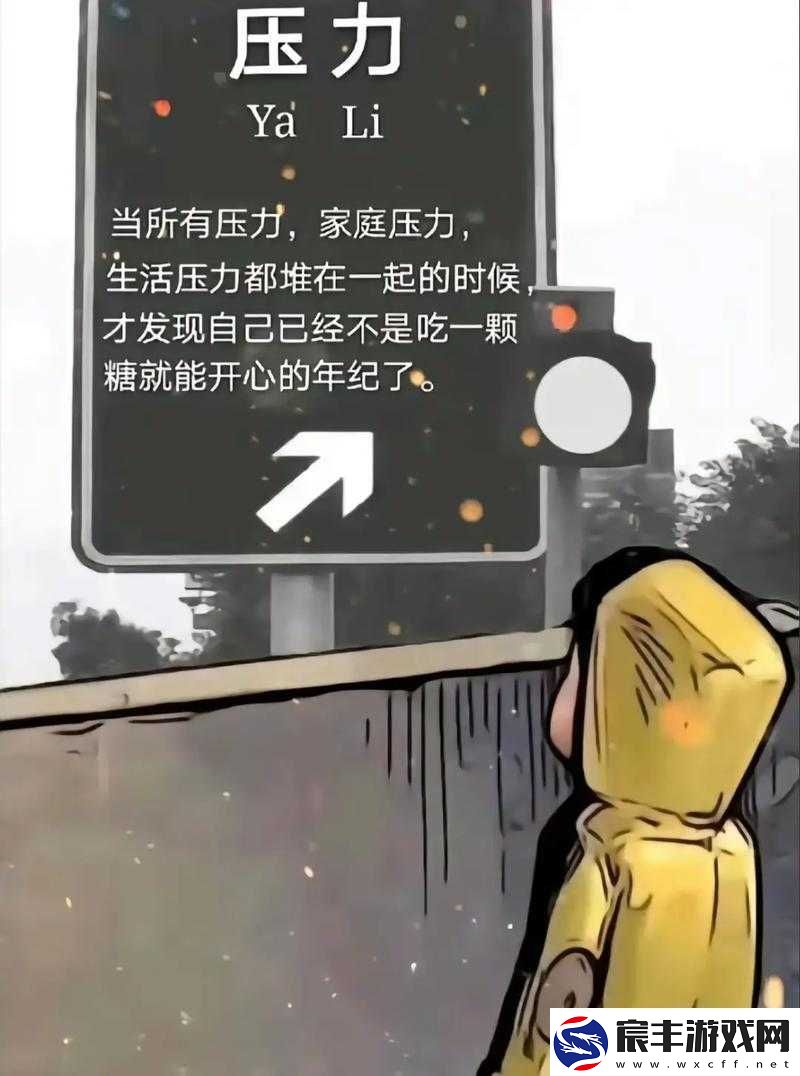 暴躁老阿姨：如何应对生活中的压力