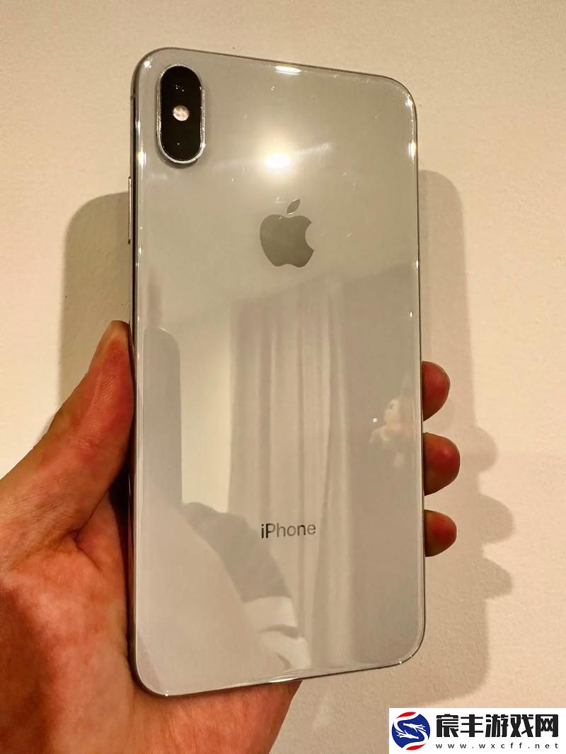 欧美IPHONEXSMAX-友热议-笑死-这话题热得烫手！