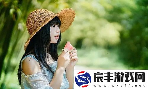 深入探讨BBBBB和BBBBBB的用法和作用：如何在实践中有效应用这两种工具