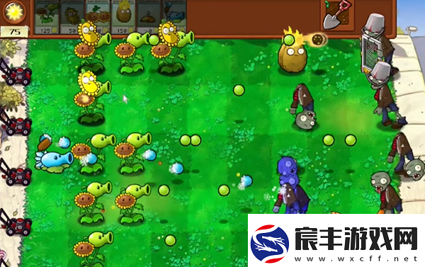 植物大战僵尸杂交版怎么玩