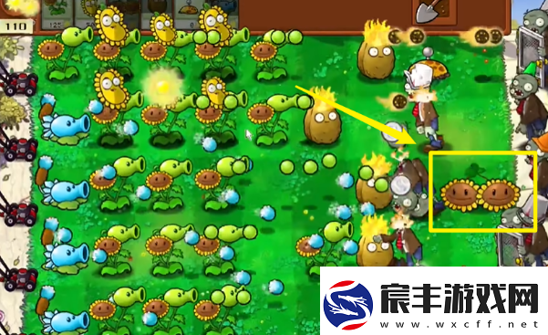 植物大战僵尸杂交版怎么玩
