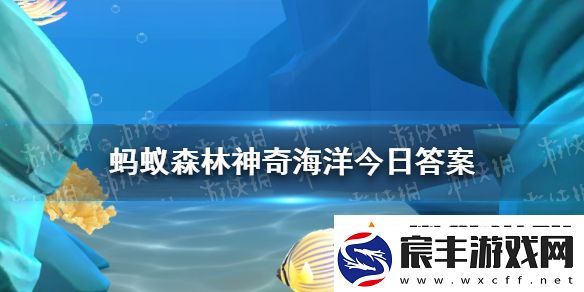 以下哪种鱼类有水中软黄金之称-神奇海洋11月6日答案