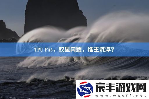 TPU-PA6-双星闪耀-谁主沉浮