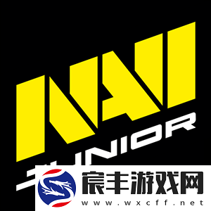 NAVI-Junior最近2月赢得6场比赛冠军-赚取56000美元奖金
