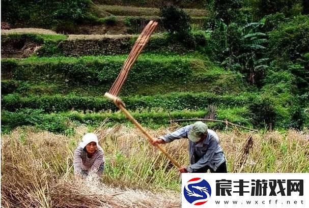 科技江湖怪谈：三猴儿传奇与神秘媳妇