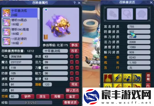 梦幻西游