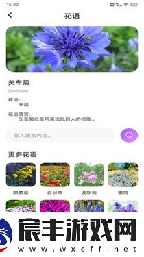 樱桃IM
