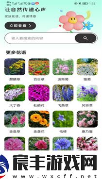 樱桃IM