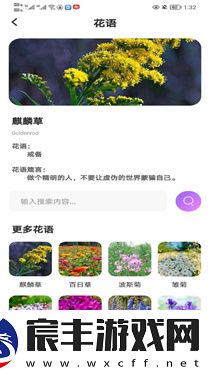 樱桃IM