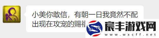 梦幻西游宝宝如何选择技能赐福！让宝宝输出直接提升30%