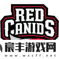 第二场接上！上海Major美洲RMR前瞻