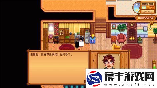 星露谷物语怀孕注意什么