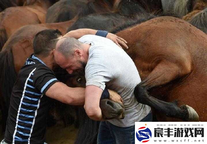 免费人马大战-CSDN-软件：精彩对决来袭