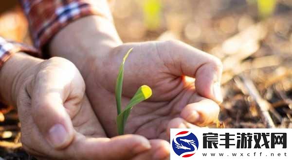 校园绑定JY收集系统宋涵：1.校园JY收集系统：宋涵的创新实践与探索!