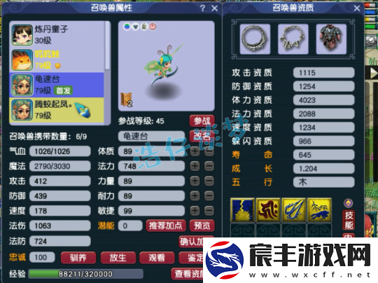 梦幻西游69大众化生寺的搭配思路