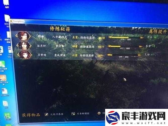 侠客风云传前传森林密会攻略：高效打法指南与战斗策略解析