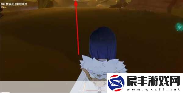 探索原神-3.6-版-优昙花的神秘所在