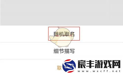 橙瓜码字怎么随机起名