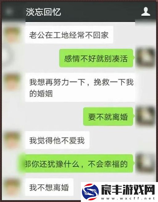外地郎君-索照不停——科技圈里的私密挑战