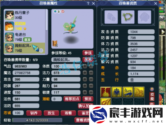 梦幻西游69大众化生寺的搭配思路