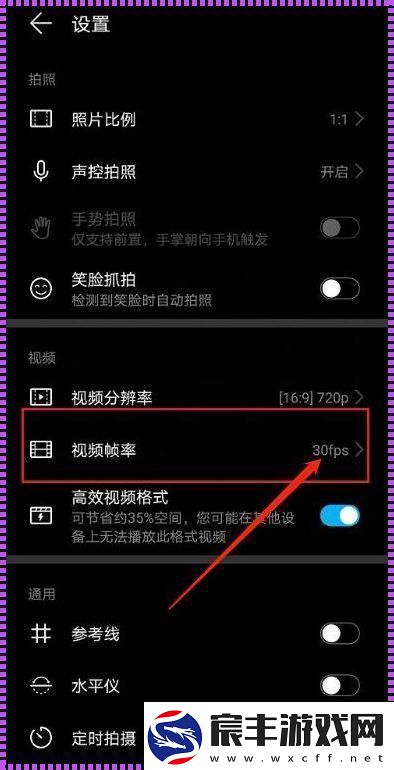 “帧数华为眼-双关语里探”