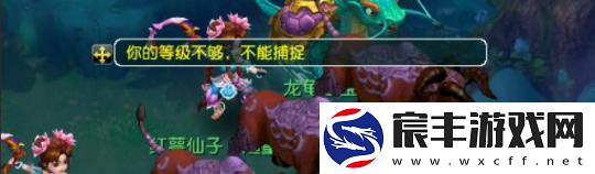 梦幻西游