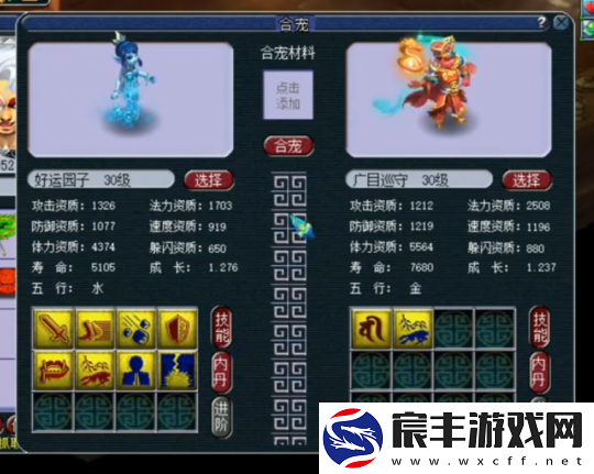 梦幻西游净台打书大冒险
