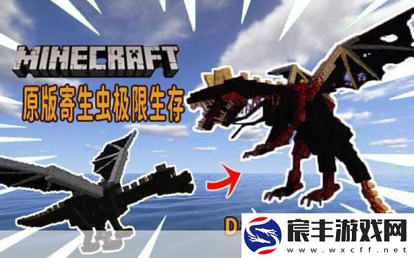 X入侵者震撼登场-化身黑客-挑战企业服务器的极限生存！