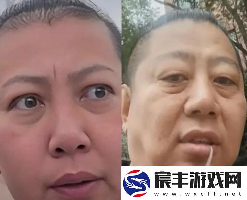 东北雨哥是什么梗络用语东北雨哥梗意思及出处分享