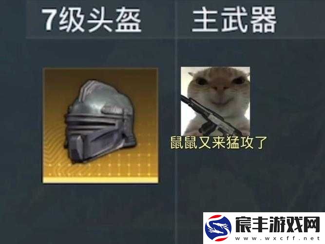 和平精英：头盔显示技巧与攻略