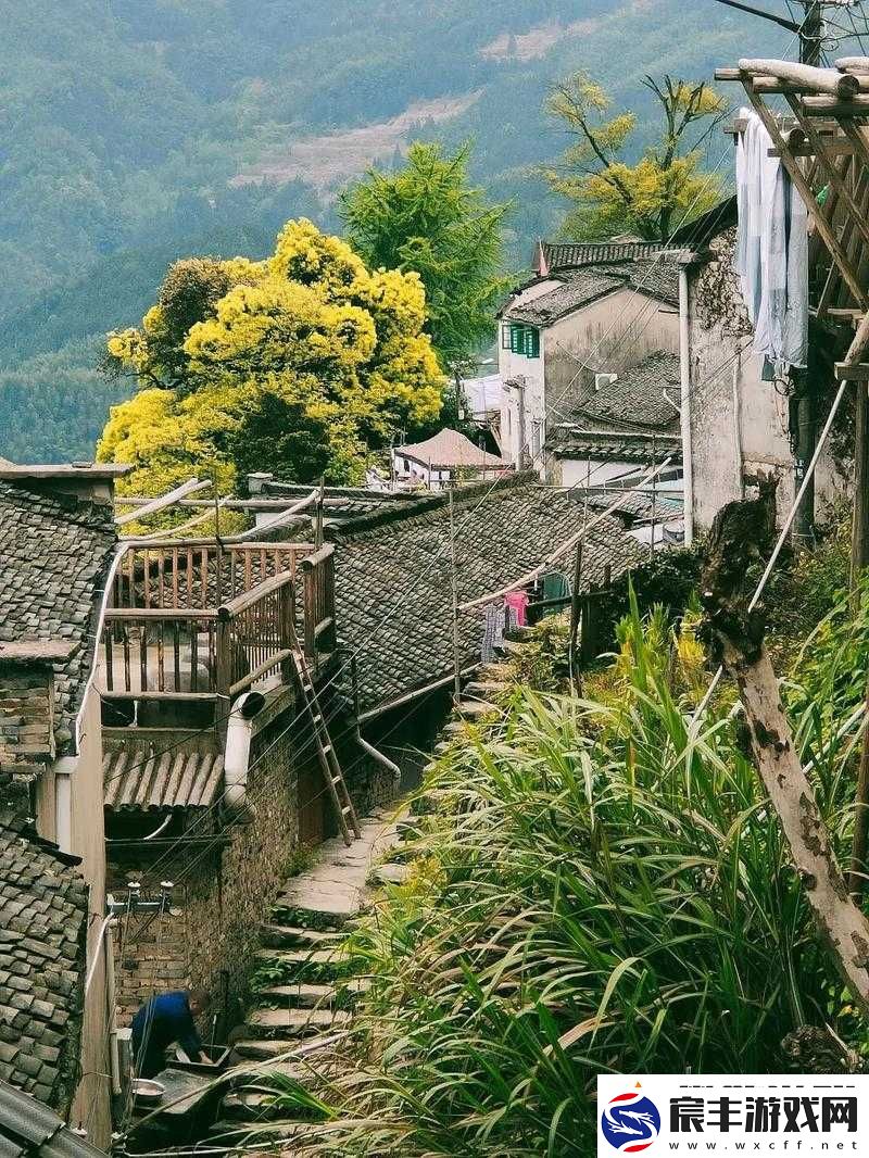 乡村风流：乡村的独特风情