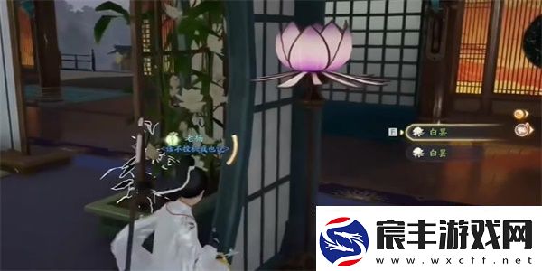 射雕手游白昙夜幽怎么收集