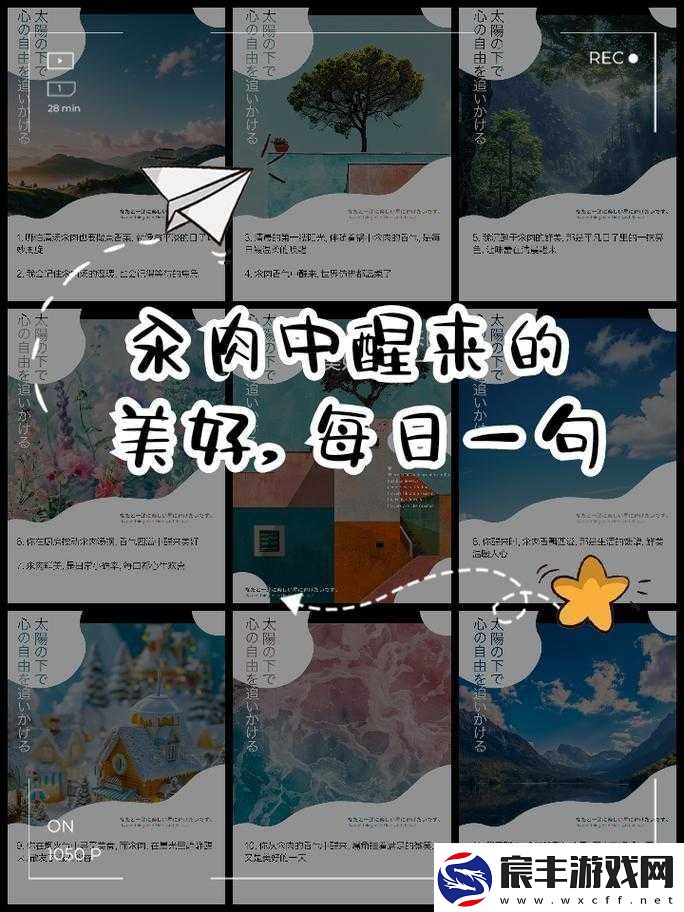 清纯汆肉日常：平凡生活中的别样精彩