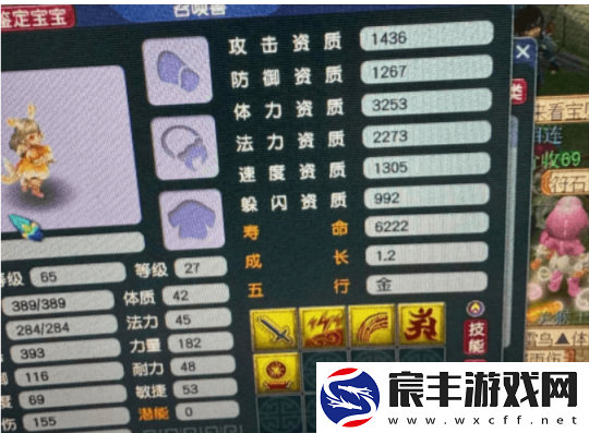 梦幻西游小号鉴定武器太疯狂！不磨、无级别全员光临
