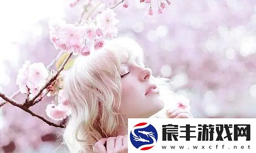 九幺黄9·1安装：操作流程全揭秘-快速搞定技术难题！