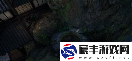 逆水寒手游卜算天机怎么获得